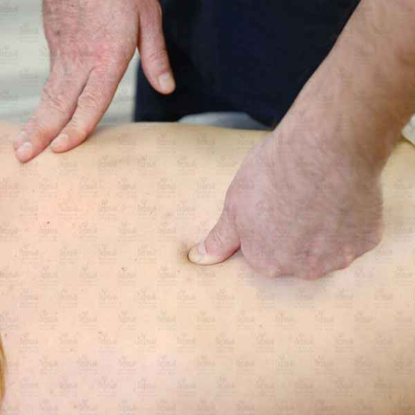 Основы точечного массажа - дистанционное обучение Основы точечного массажа - дистанционное обучение