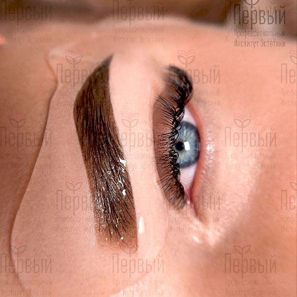 Мастер перманентного макияжа с выдачей диплома. МАКСИМАЛЬНЫЙ ПАКЕТ