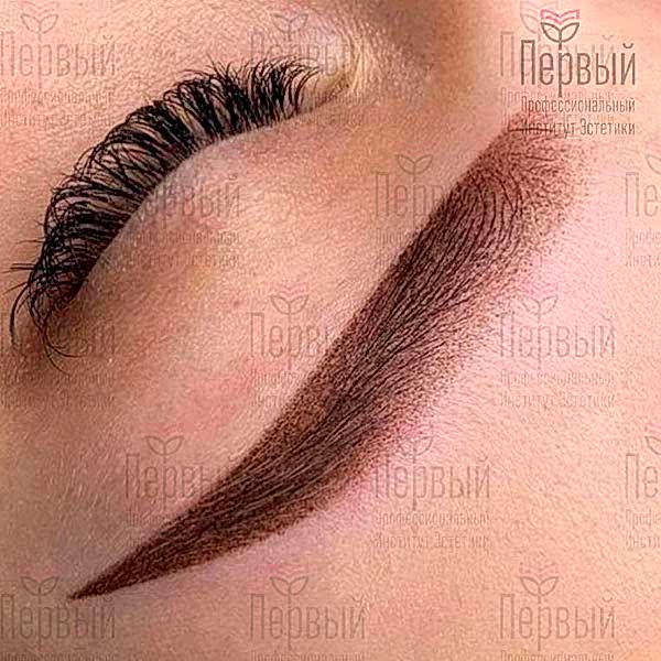 Нанонапыление бровей - дистанционное обучение Нанонапыление бровей - дистанционное обучение