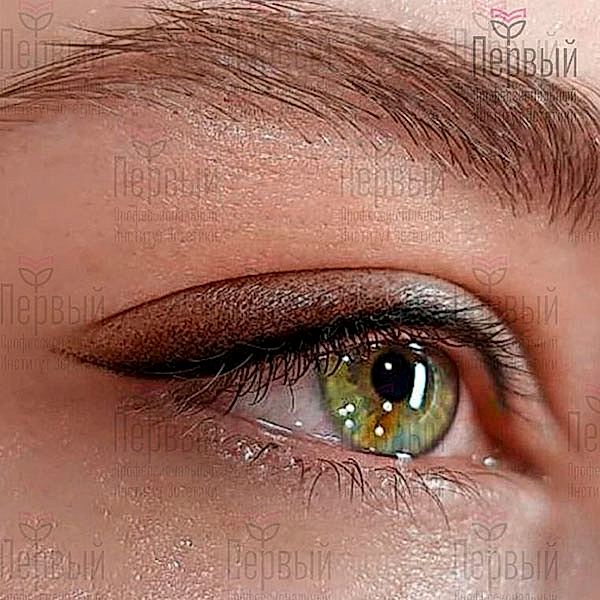 Косметик с углубленным изучением перманентного макияжа. С ПРИСВОЕНИЕМ ДВУХ КВАЛИФИКАЦИЙ Косметик с углубленным изучением перманентного макияжа. С ПРИСВОЕНИЕМ ДВУХ КВАЛИФИКАЦИЙ