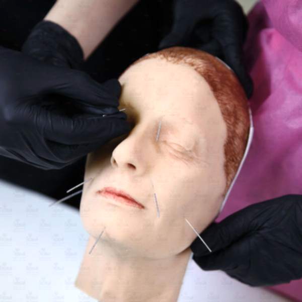 Китайский императорский массаж - дистанционное обучение Китайский императорский массаж - дистанционное обучение