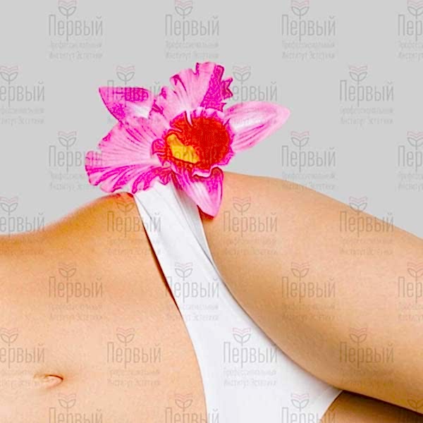 Интимная контурная пластика - дистанционное обучение Интимная контурная пластика - дистанционное обучение